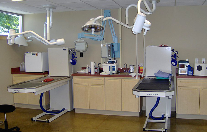Clean operating tables and center for animals with ultrasound and laser equipment